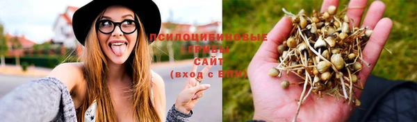 мескалин Дмитриев