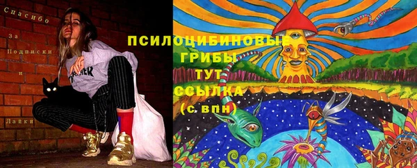 каннабис Дмитров